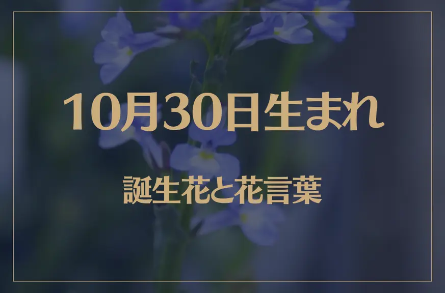 10月30日の誕生花と花言葉がコレ！性格や恋愛・仕事などの誕生日占いもご紹介！