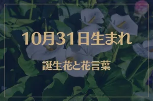 10月31日の誕生花と花言葉がコレ！性格や恋愛・仕事などの誕生日占いもご紹介！