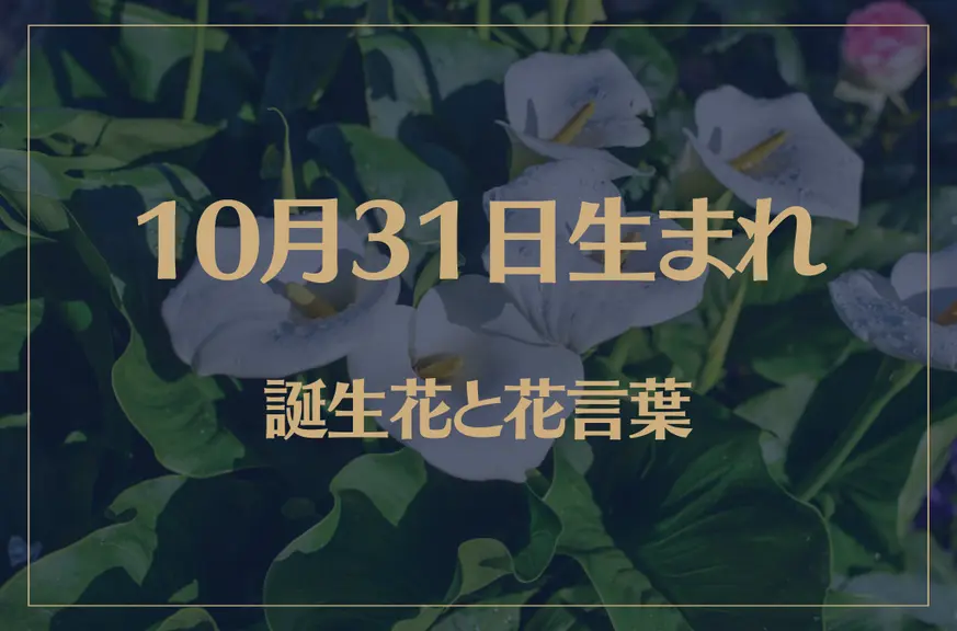 10月31日の誕生花と花言葉がコレ！性格や恋愛・仕事などの誕生日占いもご紹介！