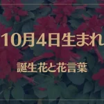 10月4日の誕生花と花言葉がコレ！性格や恋愛・仕事などの誕生日占いもご紹介！
