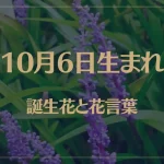 10月6日の誕生花と花言葉がコレ！性格や恋愛・仕事などの誕生日占いもご紹介！