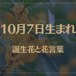 10月7日の誕生花と花言葉がコレ！性格や恋愛・仕事などの誕生日占いもご紹介！