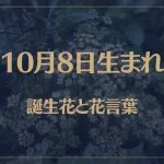 10月8日の誕生花と花言葉がコレ！性格や恋愛・仕事などの誕生日占いもご紹介！
