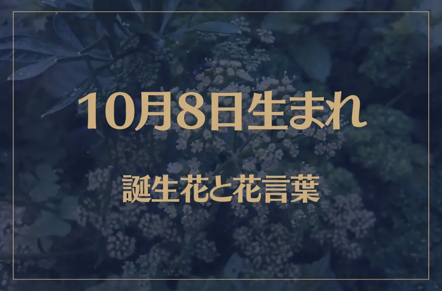 10月8日の誕生花と花言葉がコレ！性格や恋愛・仕事などの誕生日占いもご紹介！