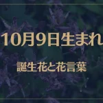 10月9日の誕生花と花言葉がコレ！性格や恋愛・仕事などの誕生日占いもご紹介！