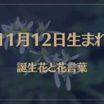 11月12日の誕生花と花言葉がコレ！性格や恋愛・仕事などの誕生日占いもご紹介！