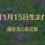 11月15日の誕生花と花言葉がコレ！性格や恋愛・仕事などの誕生日占いもご紹介！