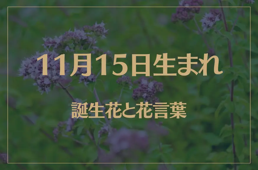 11月15日の誕生花と花言葉がコレ！性格や恋愛・仕事などの誕生日占いもご紹介！