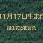 11月17日の誕生花と花言葉がコレ！性格や恋愛・仕事などの誕生日占いもご紹介！