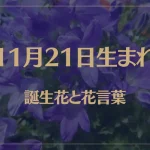 11月21日の誕生花と花言葉がコレ！性格や恋愛・仕事などの誕生日占いもご紹介！