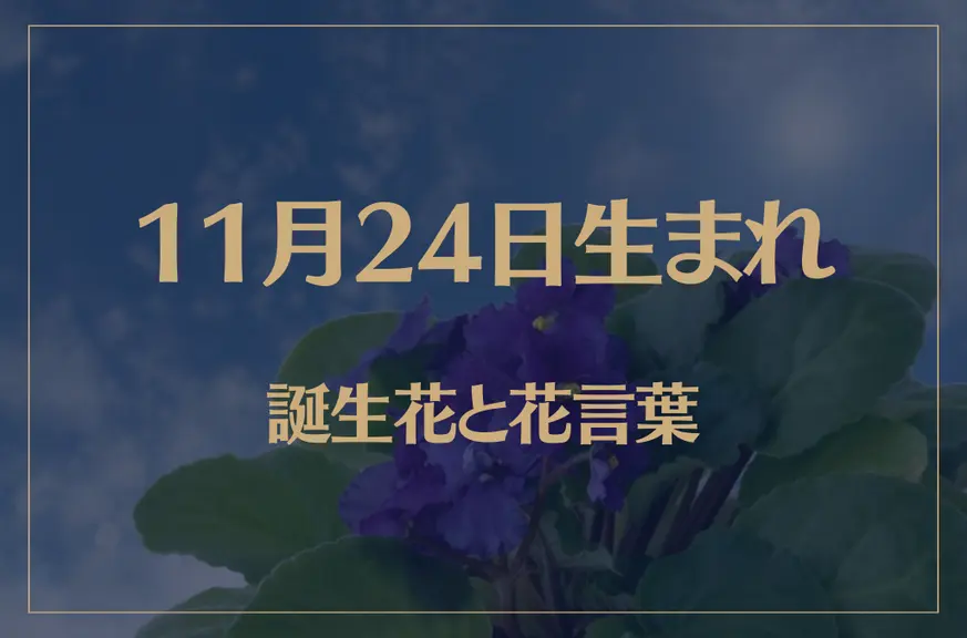 11月24日の誕生花と花言葉がコレ！性格や恋愛・仕事などの誕生日占いもご紹介！