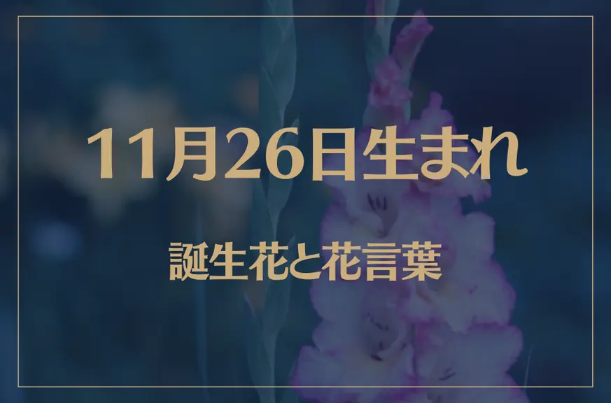 11月26日の誕生花と花言葉がコレ！性格や恋愛・仕事などの誕生日占いもご紹介！