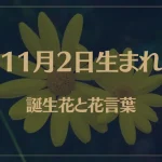 11月2日の誕生花と花言葉がコレ！性格や恋愛・仕事などの誕生日占いもご紹介！