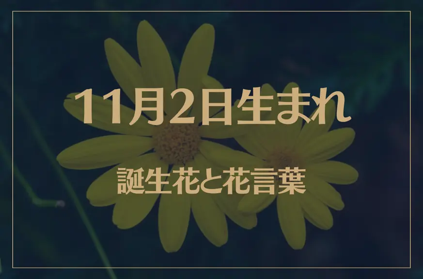 11月2日の誕生花と花言葉がコレ！性格や恋愛・仕事などの誕生日占いもご紹介！