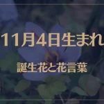 11月4日の誕生花と花言葉がコレ！性格や恋愛・仕事などの誕生日占いもご紹介！
