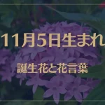 11月5日の誕生花と花言葉がコレ！性格や恋愛・仕事などの誕生日占いもご紹介！