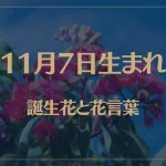 11月7日の誕生花と花言葉がコレ！性格や恋愛・仕事などの誕生日占いもご紹介！