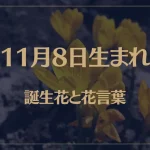 11月8日の誕生花と花言葉がコレ！性格や恋愛・仕事などの誕生日占いもご紹介！