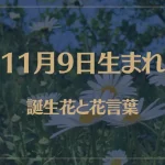 11月9日の誕生花と花言葉がコレ！性格や恋愛・仕事などの誕生日占いもご紹介！