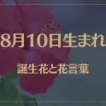 8月10日の誕生花と花言葉がコレ！性格や恋愛・仕事などの誕生日占いもご紹介！