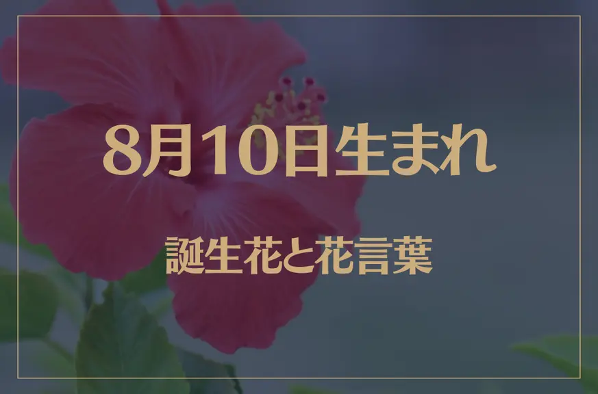 8月10日の誕生花と花言葉がコレ！性格や恋愛・仕事などの誕生日占いもご紹介！