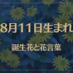 8月11日の誕生花と花言葉がコレ！性格や恋愛・仕事などの誕生日占いもご紹介！