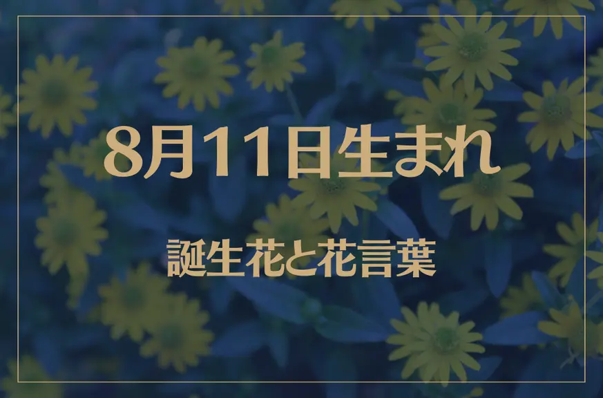 8月11日の誕生花と花言葉がコレ！性格や恋愛・仕事などの誕生日占いもご紹介！