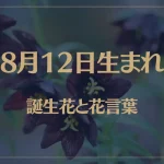 8月12日の誕生花と花言葉がコレ！性格や恋愛・仕事などの誕生日占いもご紹介！