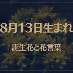 8月13日の誕生花と花言葉がコレ！性格や恋愛・仕事などの誕生日占いもご紹介！