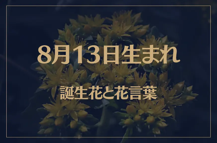 8月13日の誕生花と花言葉がコレ！性格や恋愛・仕事などの誕生日占いもご紹介！