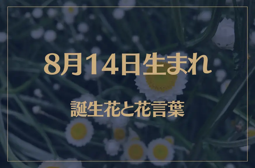 8月14日の誕生花と花言葉がコレ！性格や恋愛・仕事などの誕生日占いもご紹介！