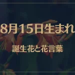 8月15日の誕生花と花言葉がコレ！性格や恋愛・仕事などの誕生日占いもご紹介！