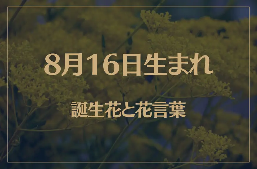 8月16日の誕生花と花言葉がコレ！性格や恋愛・仕事などの誕生日占いもご紹介！