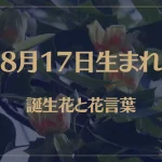8月17日の誕生花と花言葉がコレ！性格や恋愛・仕事などの誕生日占いもご紹介！