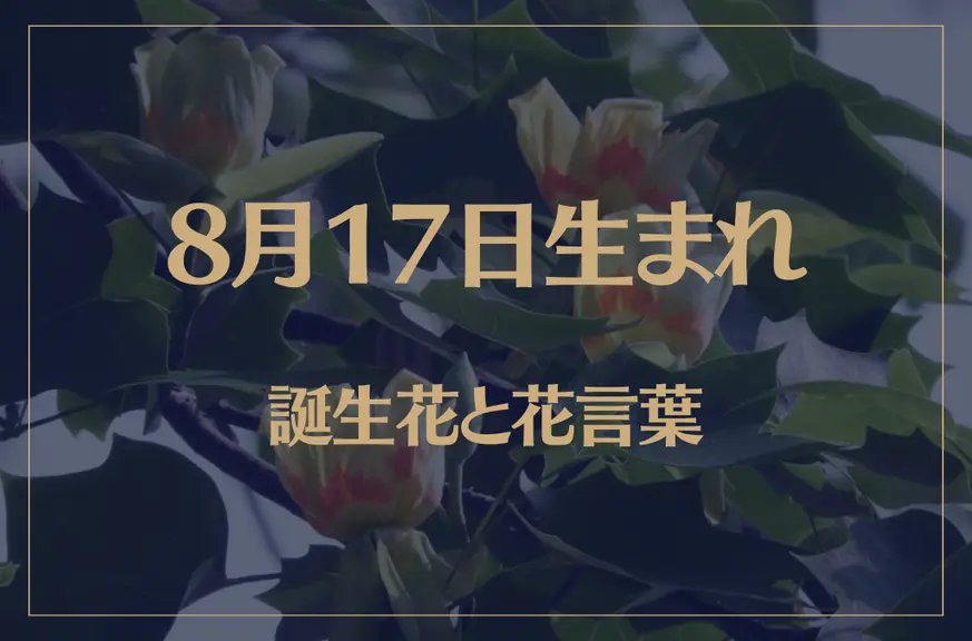 8月17日の誕生花と花言葉がコレ！性格や恋愛・仕事などの誕生日占いもご紹介！