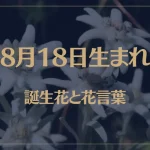 8月18日の誕生花と花言葉がコレ！性格や恋愛・仕事などの誕生日占いもご紹介！