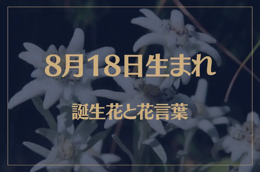 8月18日の誕生花と花言葉がコレ！性格や恋愛・仕事などの誕生日占いもご紹介！