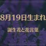 8月19日の誕生花と花言葉がコレ！性格や恋愛・仕事などの誕生日占いもご紹介！