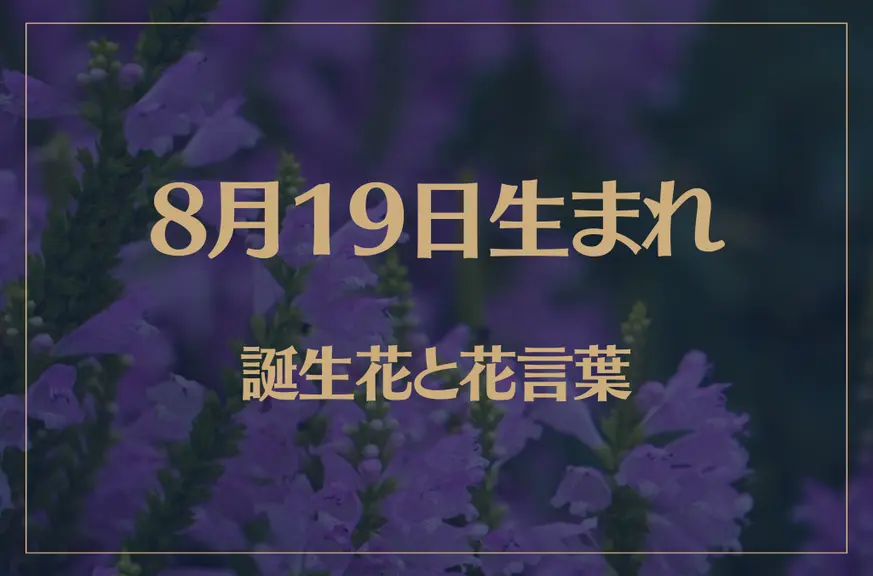 8月19日の誕生花と花言葉がコレ！性格や恋愛・仕事などの誕生日占いもご紹介！