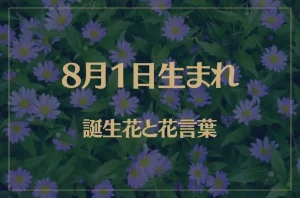 8月1日の誕生花と花言葉がコレ!性格や恋愛・仕事などの誕生日占いもご紹介!