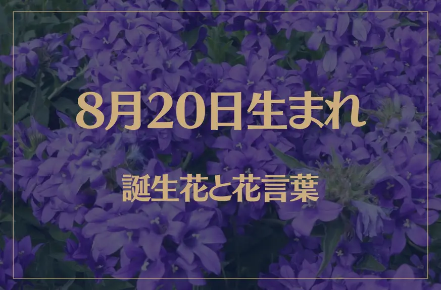 8月20日の誕生花と花言葉がコレ！性格や恋愛・仕事などの誕生日占いもご紹介！