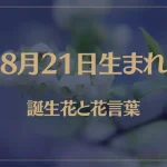 8月21日の誕生花と花言葉がコレ！性格や恋愛・仕事などの誕生日占いもご紹介！