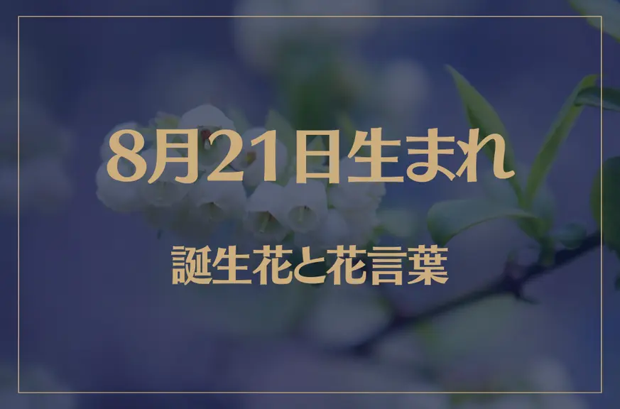 8月21日の誕生花と花言葉がコレ！性格や恋愛・仕事などの誕生日占いもご紹介！