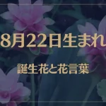 8月22日の誕生花と花言葉がコレ！性格や恋愛・仕事などの誕生日占いもご紹介！