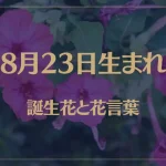 8月23日の誕生花と花言葉がコレ！性格や恋愛・仕事などの誕生日占いもご紹介！