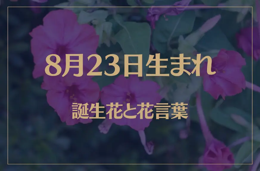 8月23日の誕生花と花言葉がコレ！性格や恋愛・仕事などの誕生日占いもご紹介！