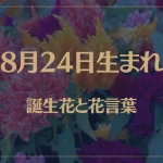 8月24日の誕生花と花言葉がコレ！性格や恋愛・仕事などの誕生日占いもご紹介！
