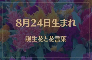 8月24日の誕生花と花言葉がコレ!性格や恋愛・仕事などの誕生日占いもご紹介!