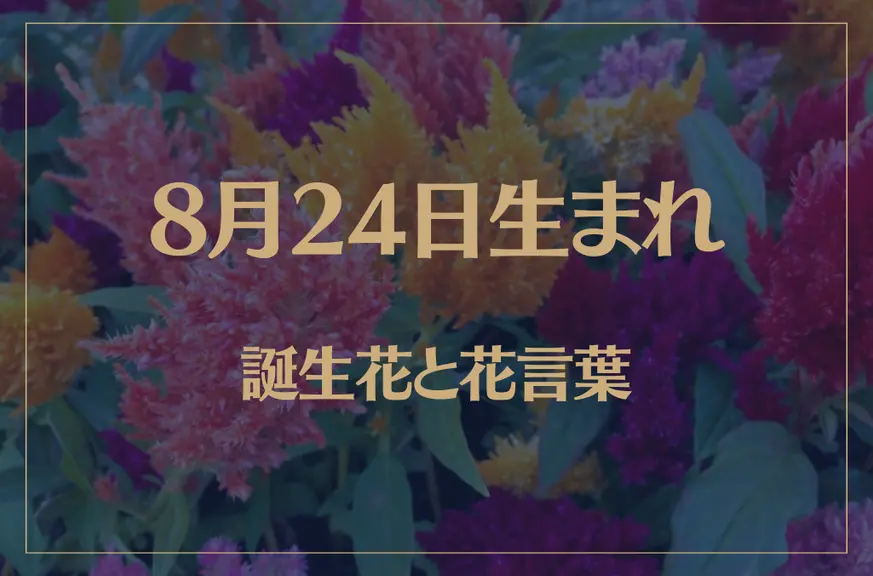 8月24日の誕生花と花言葉がコレ！性格や恋愛・仕事などの誕生日占いもご紹介！