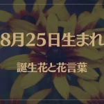 8月25日の誕生花と花言葉がコレ！性格や恋愛・仕事などの誕生日占いもご紹介！